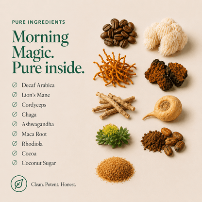Ancient Extracts Morning Magic Decaf Coffee Starter Kit
