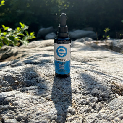 Evolved Daily Balance+ Mushroom Extract | The CBD Hut