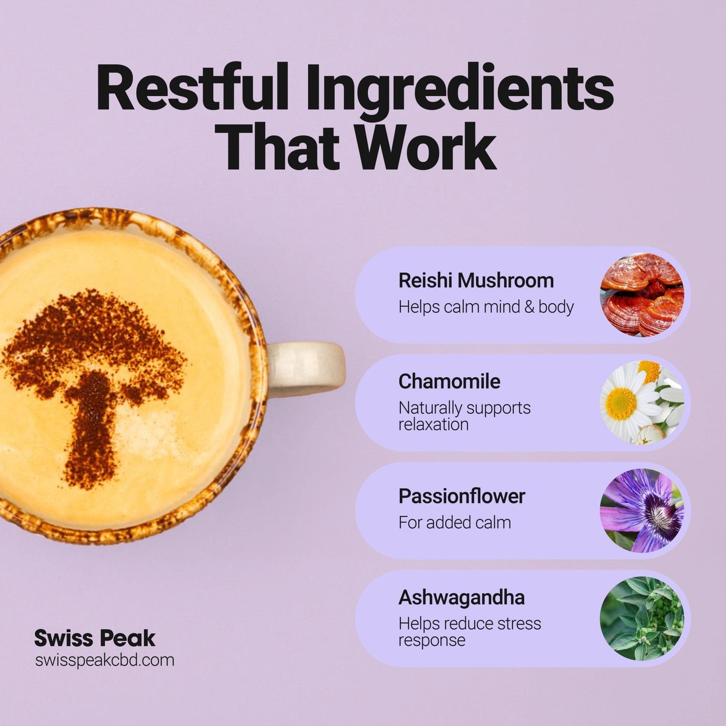 Swiss Peak CBD Sleep Mushroom Cacao Blend 60 Servings